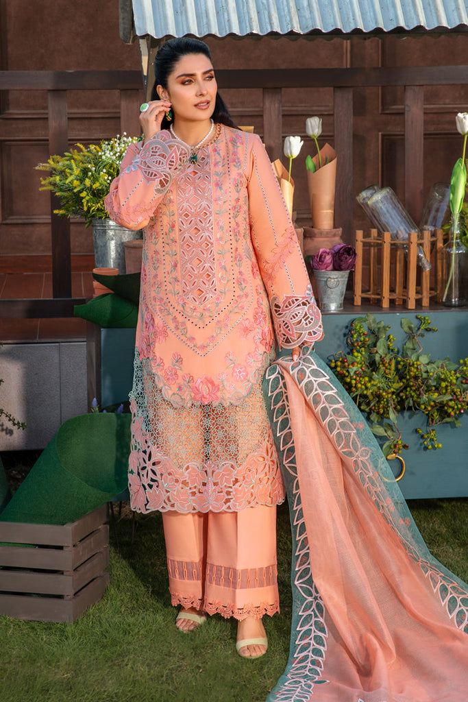 Rang Rasiya Luxury Festive Lawn Collection – Rania