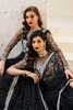 IZNiK Chinon Luxury Formals – CC-50 Embroidered Net