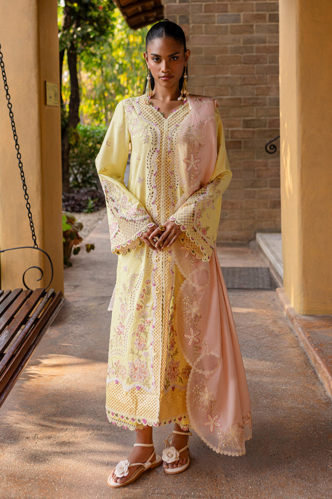 Qalamkari Qline Summer Lawn – QM-11 Ina