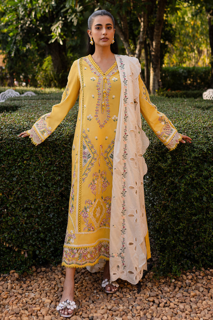 Qalamkari Qline Summer Lawn – QM-10 Olena