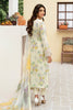 Ramsha Rangrez Lawn Collection – N-501