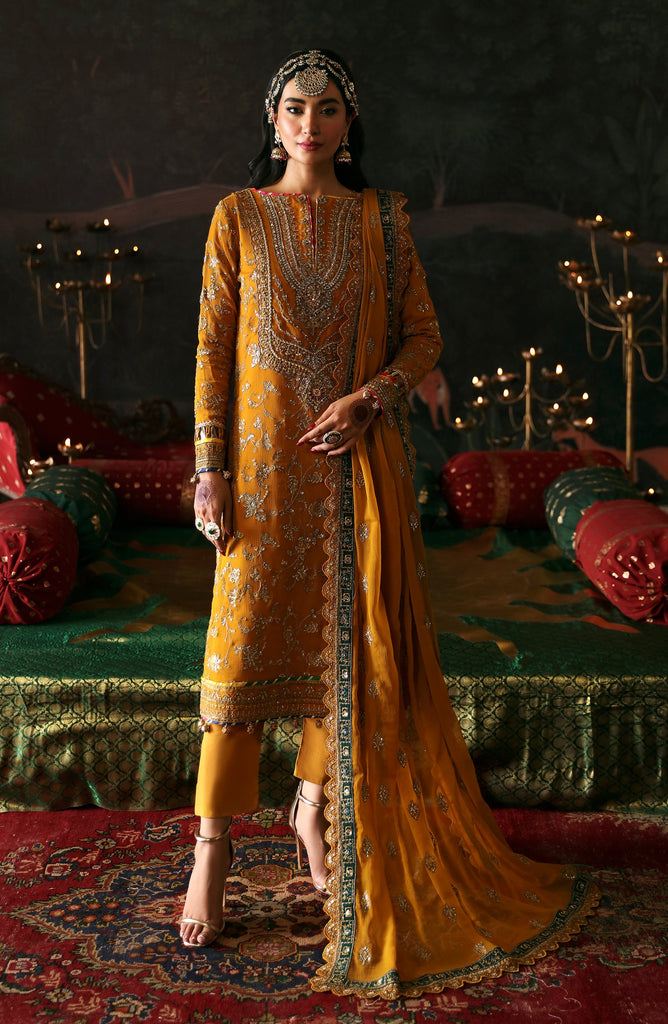 Emaan Adeel Devdas Exquisite Luxury Formals – ROSHAN JAHAN