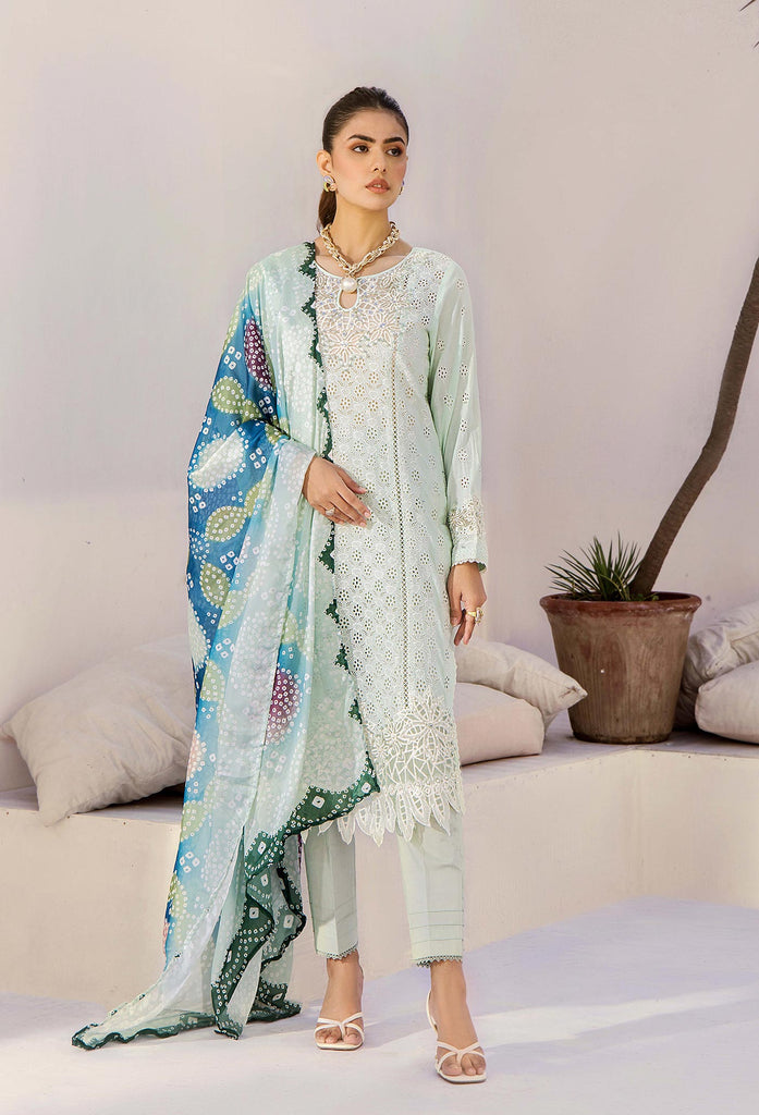 Adan's Libas Rumi Schiffli Embroidered Lawn – D-3