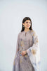 Nishat Linen Spring/Summer Lawn – 3 Piece - Embroidered Suit - 42401651