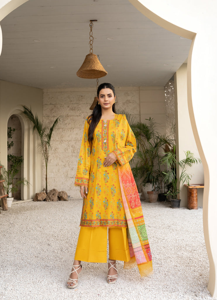 Firdous Resham Printed Cotton Fall '24 – D707