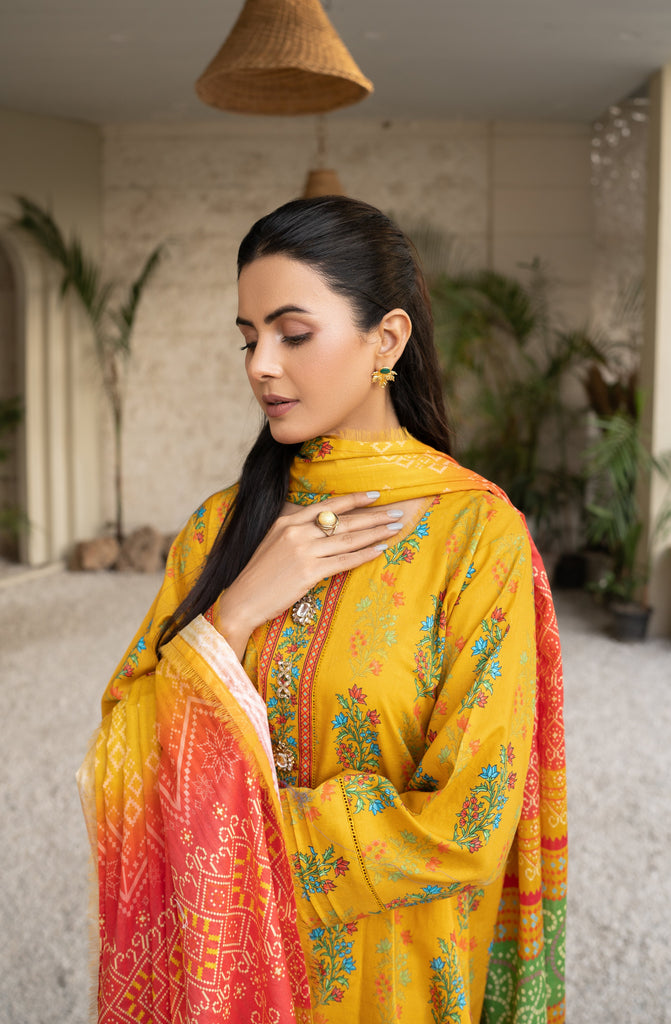 Firdous Resham Printed Cotton Fall '24 – D707