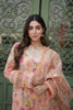 RajBari Printkari Lawn Exclusive Collection – 6-A