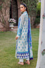 RajBari Printkari Lawn Exclusive Collection – 4-B