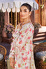 RajBari Printkari Lawn Exclusive Collection – 6-B