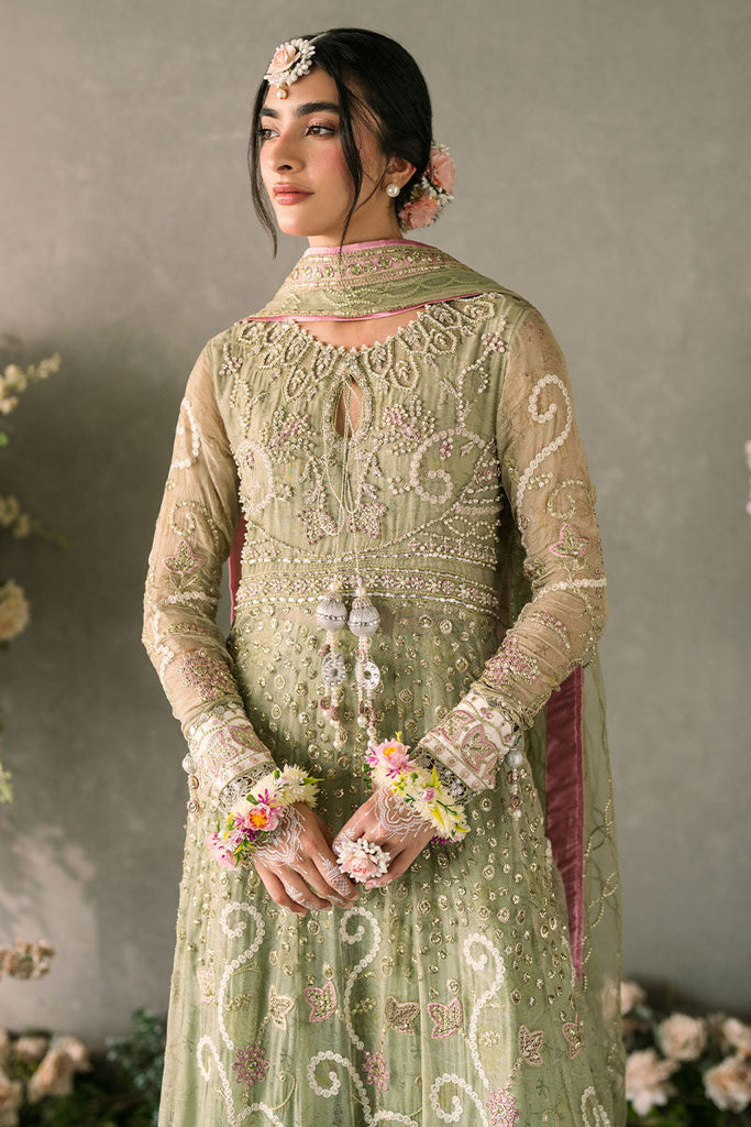 Mushq Mastani Evening Luxury Wedding Formals – Namar