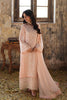 Azure Ensembles Luxury Chiffon Formals – Pink Mirage