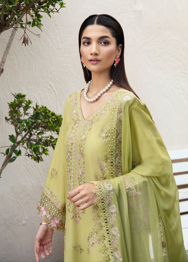 Ramsha Riwayat Summer Lawn – Y-1007