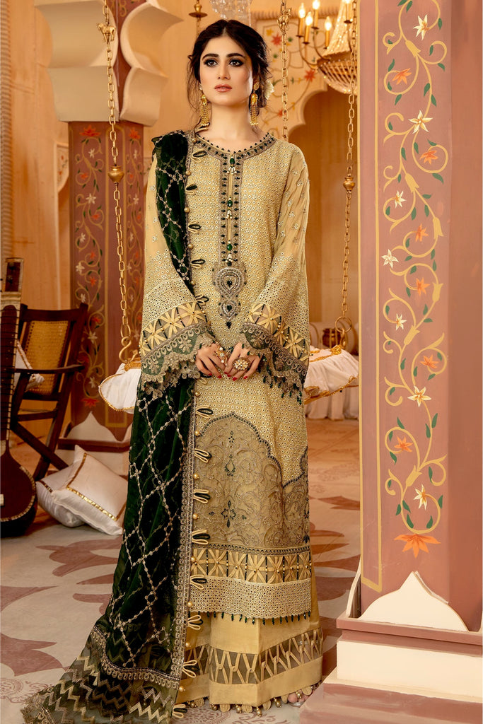 Adan's Libas Ravia Schiffli Embroidered Chiffon Collection – Zebiash