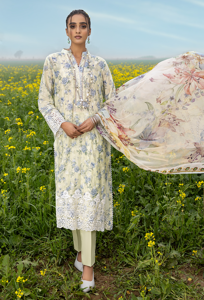 Adan's Libas Sarsoon Lawn Collection – Daisy