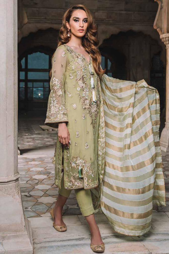 Tena Durrani Luxury Formal Collection 2019 – Design 11 Rosemary