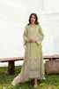 Qalamkar Qline Lawn Collection 2023 – AK-03 RAISA