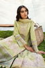 Qalamkar Qline Lawn Collection 2023 – AK-03 RAISA