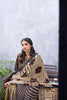 Rang-e-Sang Linen Winter Collection – RSPV-3