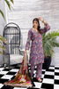 Rang-e-Sang Linen Winter Collection – RSPV-6