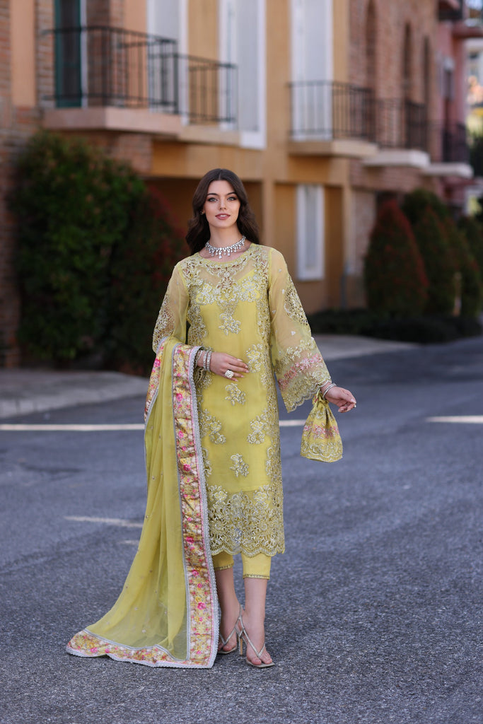 Noor by Saadia Asad Luxury Chiffon Formal Collection 2023 – D4-Minali