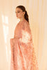 Alizeh Rang-e-Mehr Formal Collection – Embroidered Net Peach - V14D09