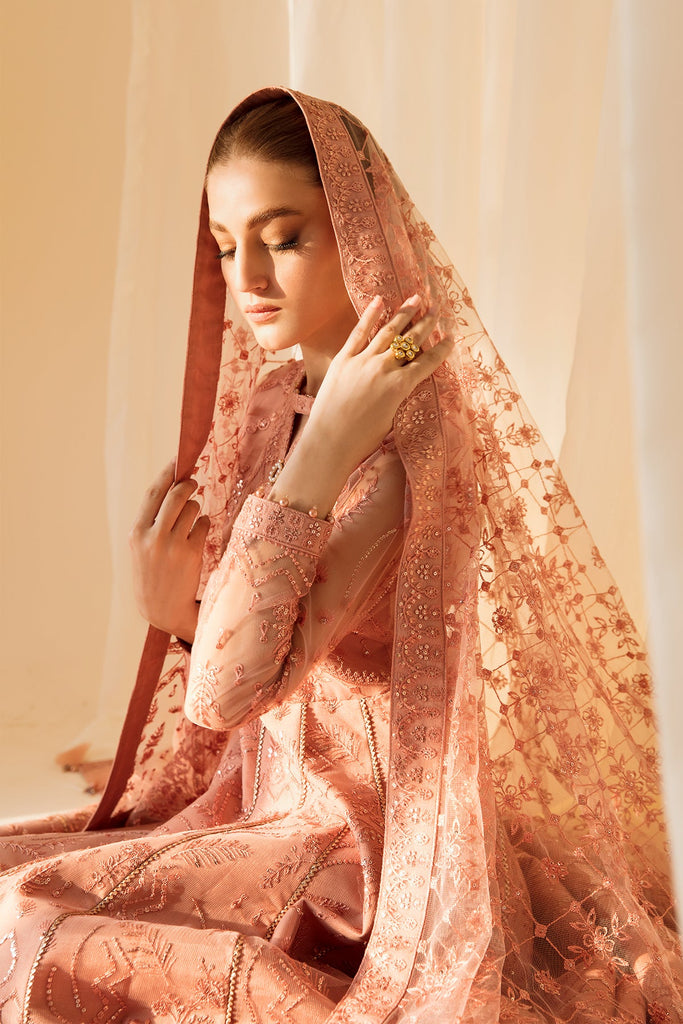 Alizeh Rang-e-Mehr Formal Collection – Embroidered Net Peach - V14D09