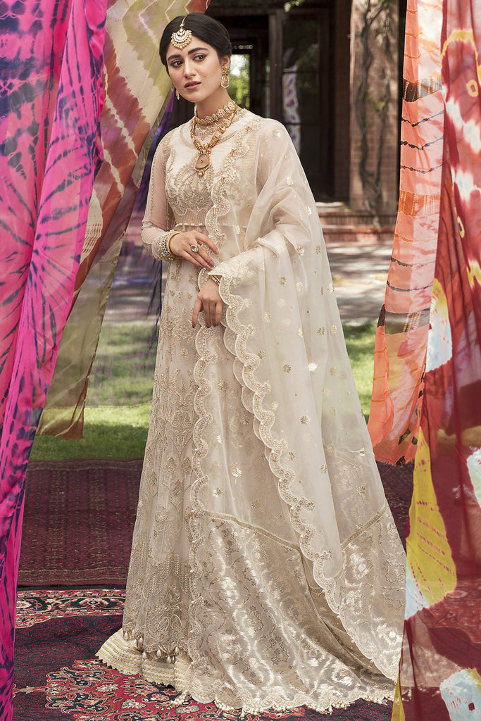 Ayzel X Afrozeh Sangat Luxury Chiffon Collection – Sultana Begum