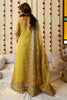 Mohsin Naveed Ranjha Zarlish Wedding Collection Vol-3 – Nimbu