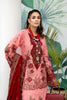 Adan's Libas Schiffli Embroidered Lawn Collection – Relished Looks