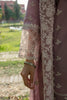 Qalamkar Qline Lawn Collection 2022 – QB-02 HELEN