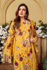 Rang-e-Bahar Printed Lawn Collection – RB-02