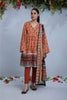 Sapphire Printed Lawn Suit - U2DAYZ22V126