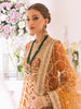 Roheenaz Sawariya Luxury Kalidaar Chiffon Formal Collection – DN-09