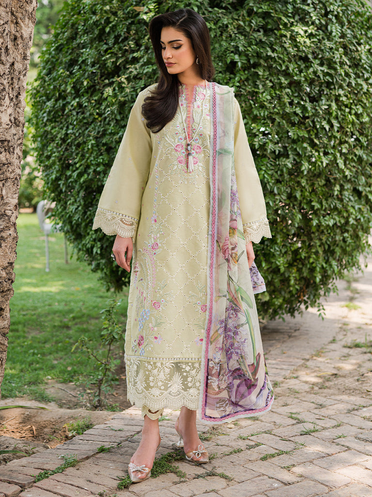 Roheenaz Wisteria Lawn Collection – AFSHEEN