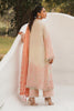 Sana Safinaz Muzlin Spring Lawn Collection 2023 – M231-005B-CJ